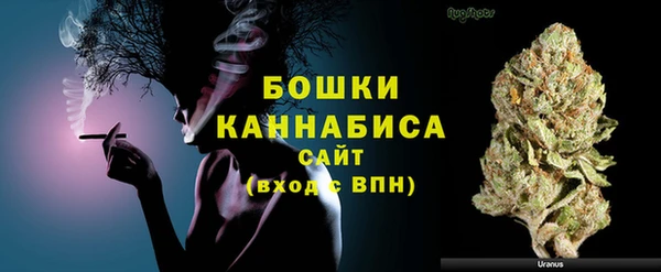 стаф Балахна