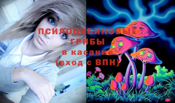 стаф Балахна