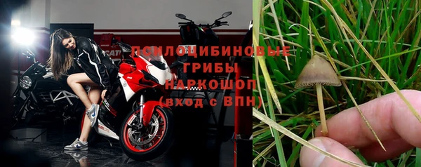 трава Баксан