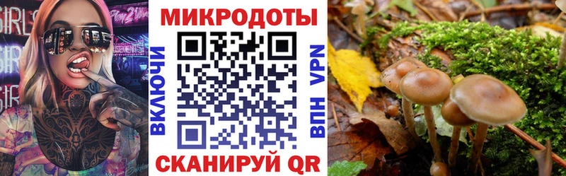 Купить где  Баксан  Галлюциногенные грибы мухоморы 